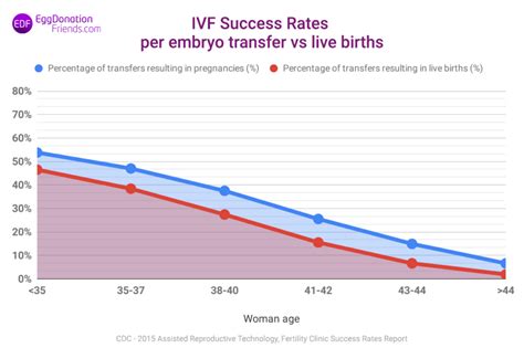 ivf success rates after transfer.